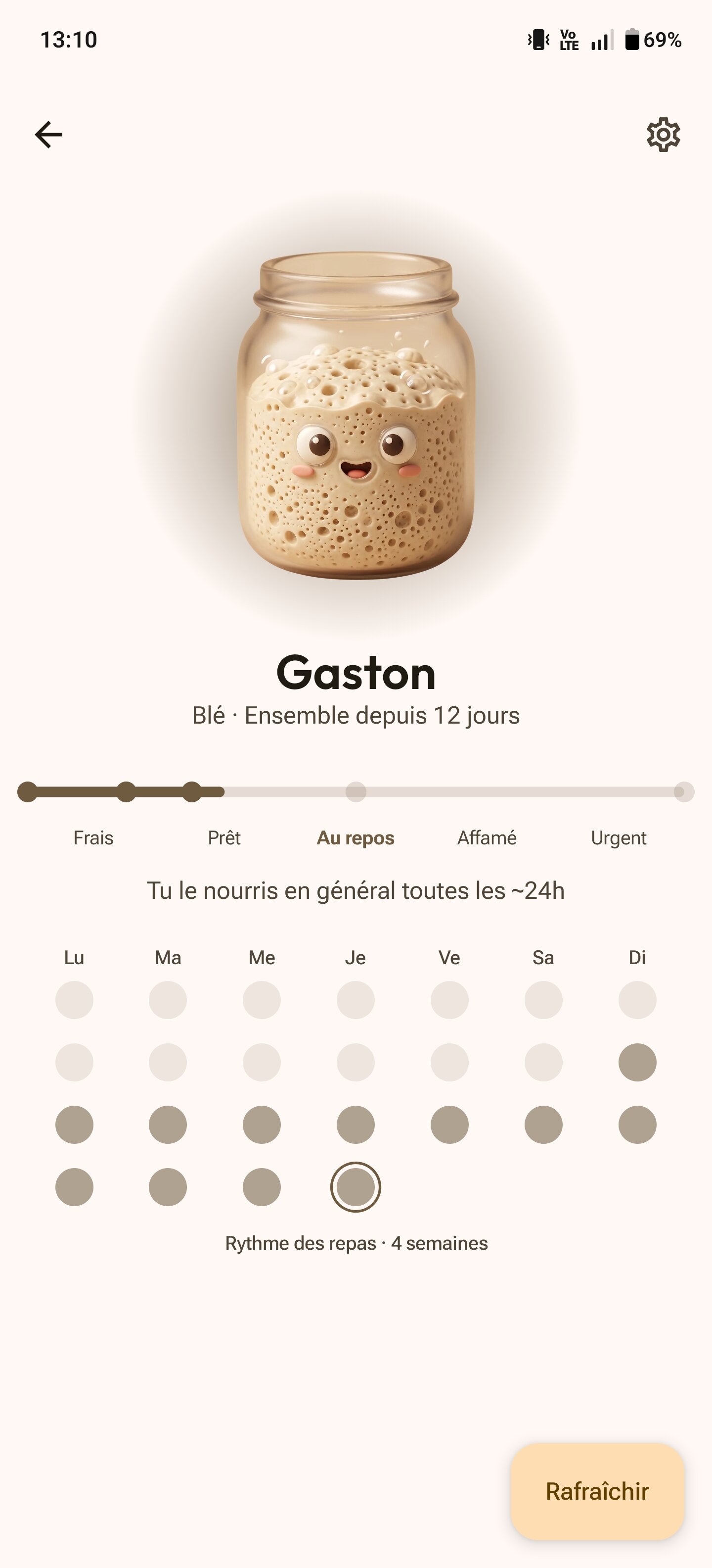 Écran levain avec avatar de bocal, chronologie du cycle et heatmap de rafraîchi sur 28 jours