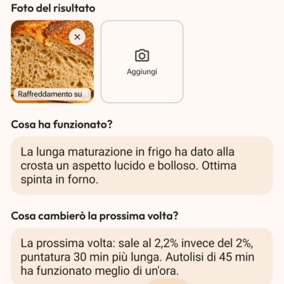 Voce del diario Flourwise: foto del risultato, cosa ha funzionato e cosa cambiare la prossima volta