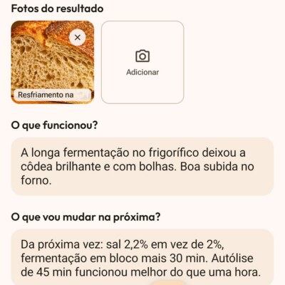 Entrada do diário Flourwise: fotos do resultado, o que funcionou e o que mudar da próxima vez